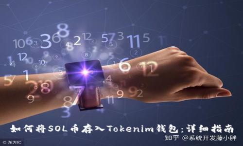 如何將SOL幣存入Tokenim錢(qián)包：詳細(xì)指南