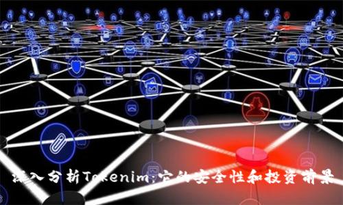 深入分析Tokenim：它的安全性和投資前景