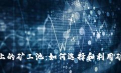 深入了解Tokenim上的礦工池