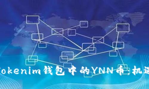 : 探索Tokenim錢包中的YNN幣：機(jī)遇與挑戰(zhàn)