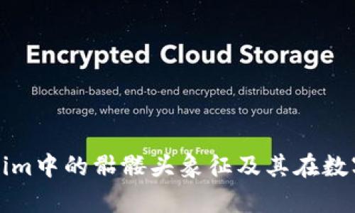 深入解析Tokenim中的骷髏頭象征及其在數(shù)字資產(chǎn)中的價(jià)值
