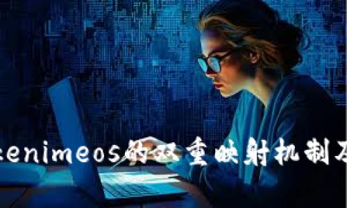 深入解析Tokenimeos的雙重映射機制及其應用價值