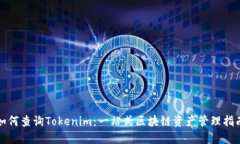 如何查詢Tokenim：一站式區(qū)