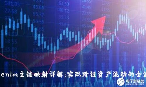 Tokenim主鏈映射詳解：實(shí)現(xiàn)跨鏈資產(chǎn)流動(dòng)的全流程