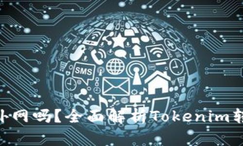 Tokenim轉(zhuǎn)賬需要外網(wǎng)嗎？全面解析Tokenim轉(zhuǎn)賬機(jī)制和網(wǎng)絡(luò)需求