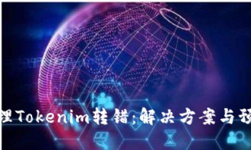 如何處理Tokenim轉(zhuǎn)錯(cuò)：解決方案與預(yù)防措施
