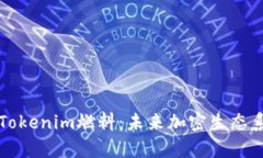 深度解析Tokenim燃料：未來