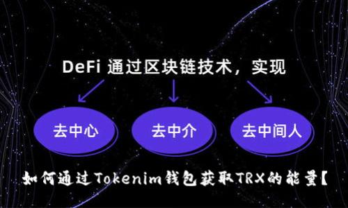 如何通過Tokenim錢包獲取TRX的能量？