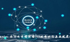 Tokenim：為什么目前沒有