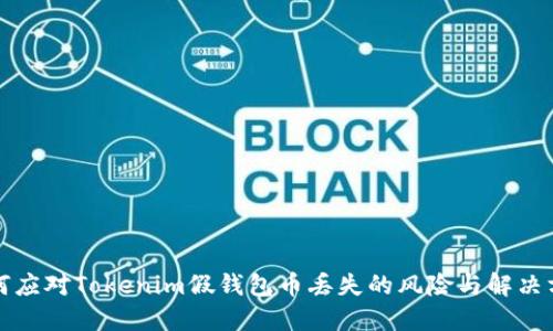 如何應(yīng)對Tokenim假錢包幣丟失的風(fēng)險與解決方案