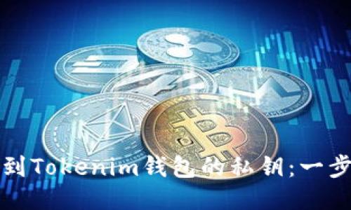 如何找到Tokenim錢包的私鑰：一步步指南