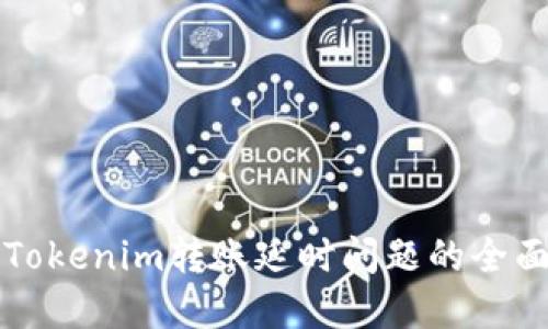 解決Tokenim轉(zhuǎn)賬延時(shí)問題的全面指南
