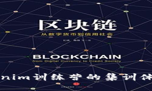 深入探索Tokenim訓(xùn)練營的集訓(xùn)體系與發(fā)展前景