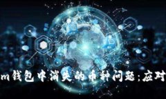 如何解決Tokenim錢包中消失