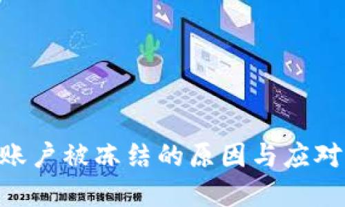 Tokenim賬戶被凍結(jié)的原因與應(yīng)對措施詳解