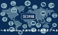 深入解析Tokenim：區(qū)塊鏈技